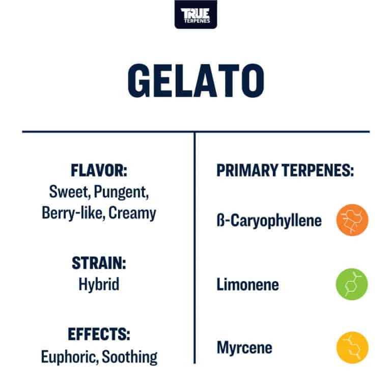 True Terpenes - Gelato - Image 2