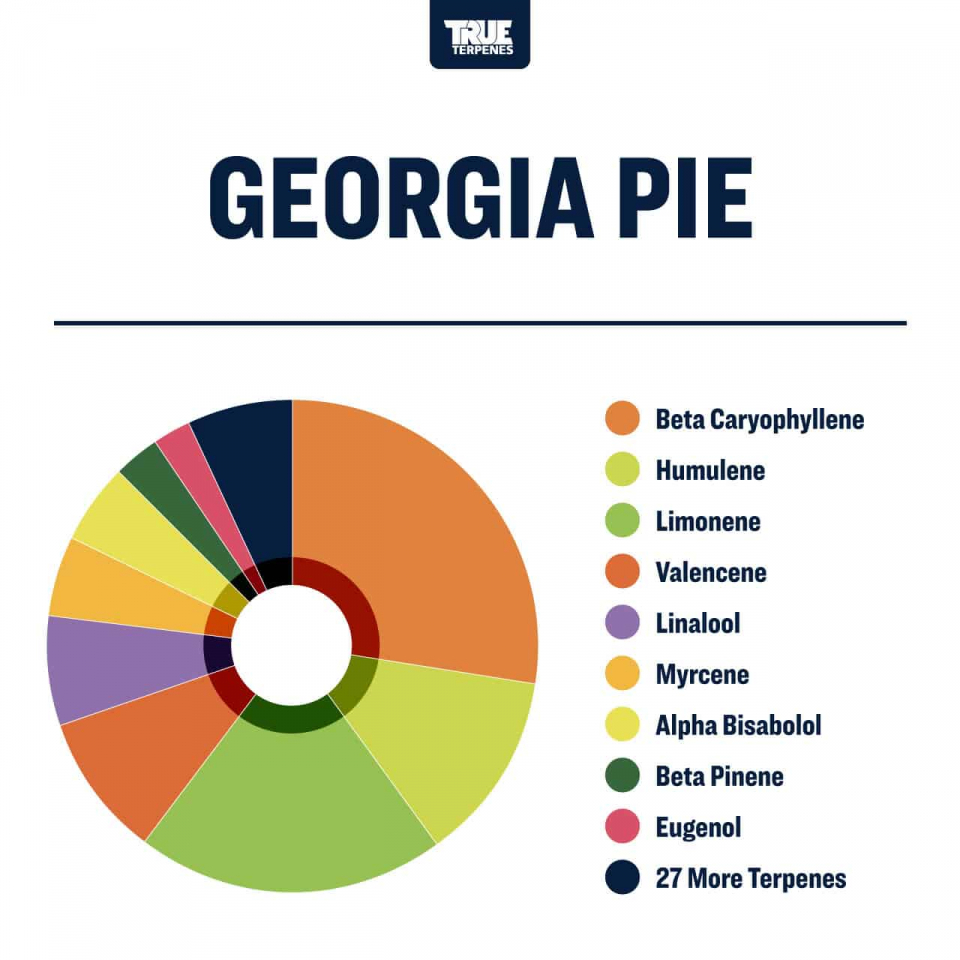True Terpenes - Georgia Pie - Image 3