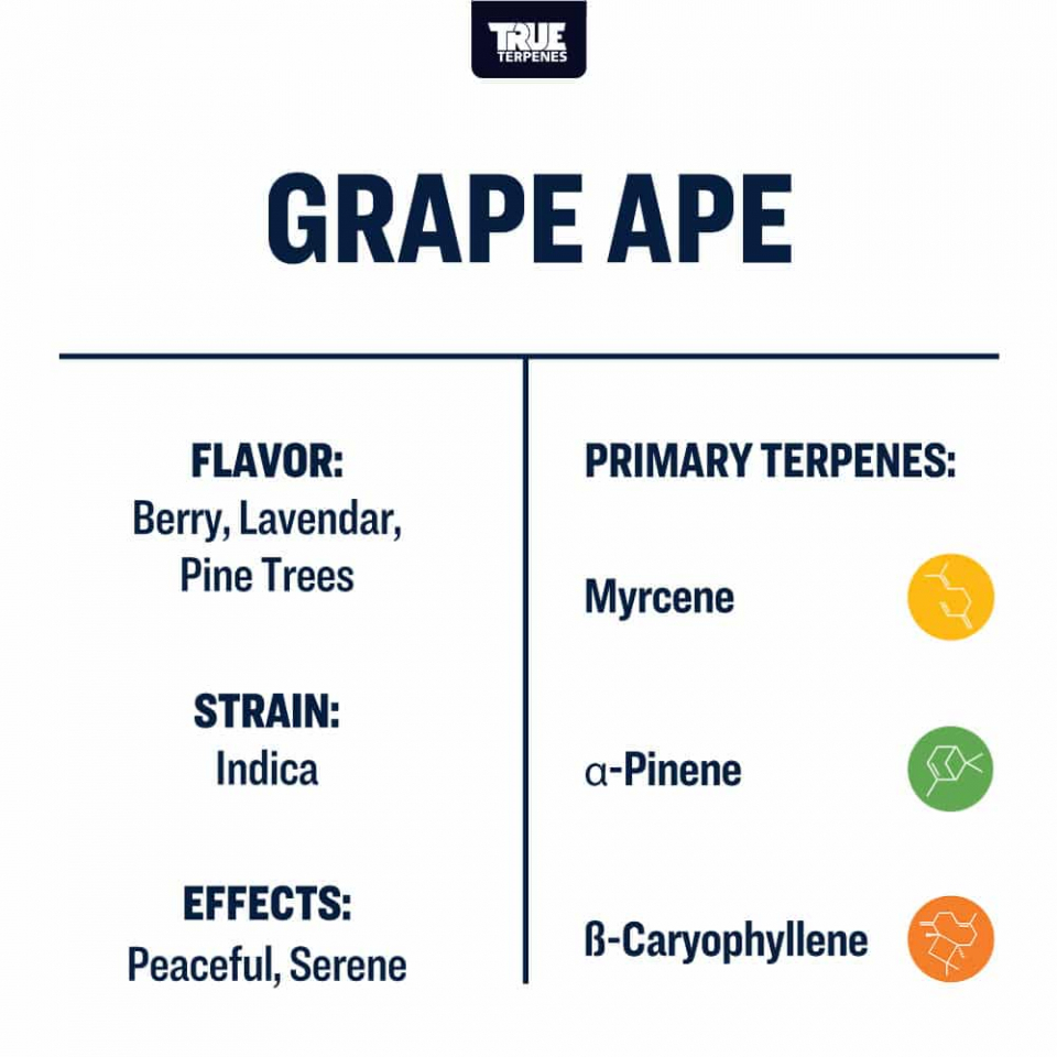True Terpenes - Grape Ape - Image 2