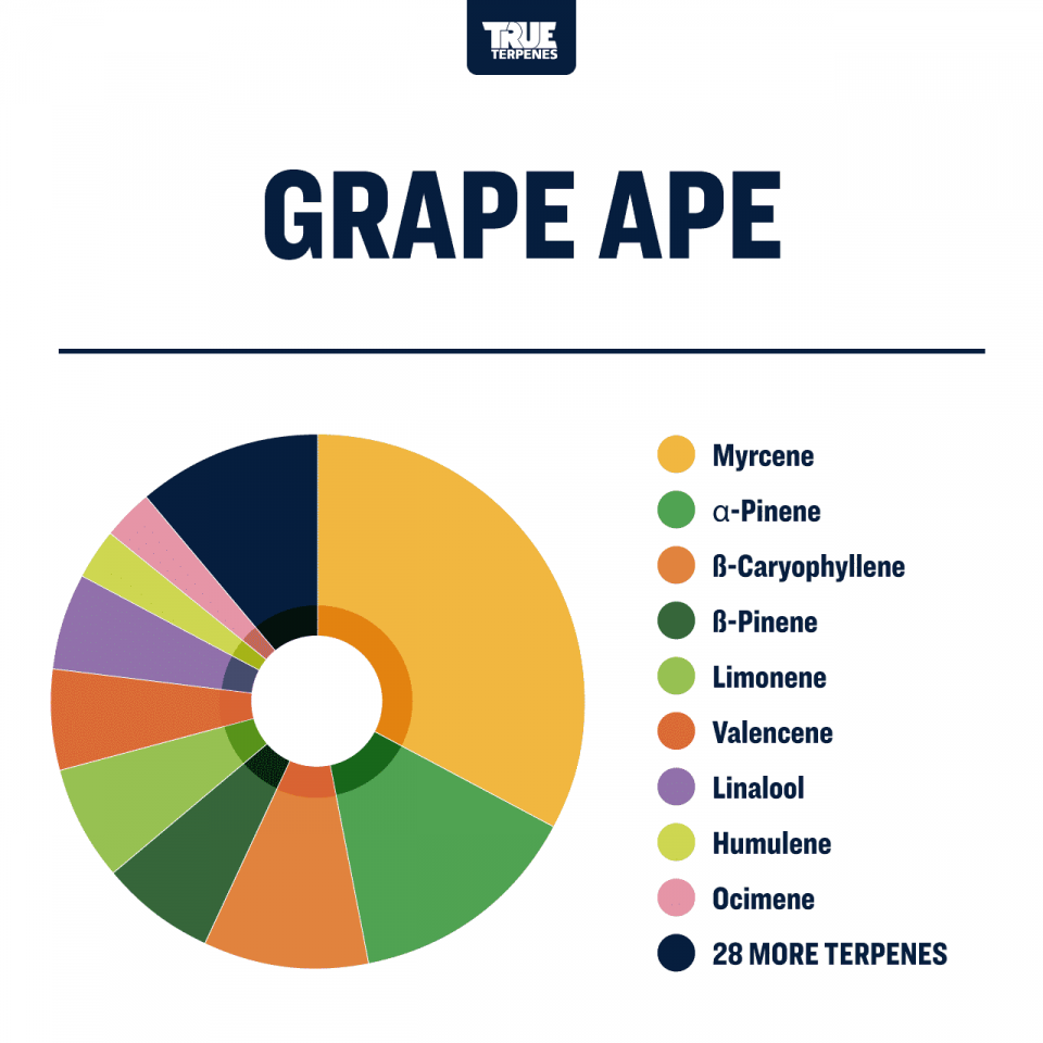 True Terpenes - Grape Ape - Image 3