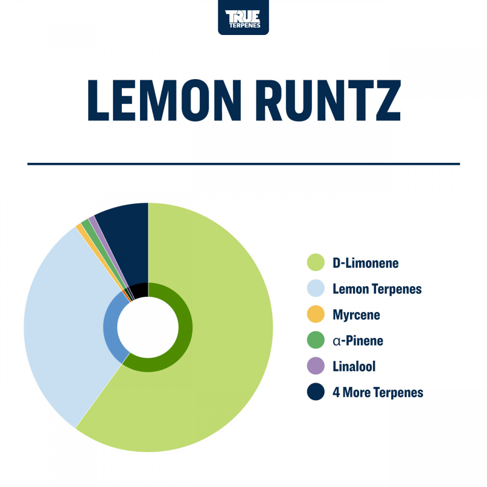 True Terpenes - Lemon Runtz - Image 3
