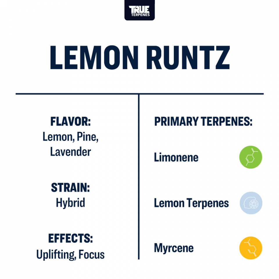 True Terpenes - Lemon Runtz - Image 2