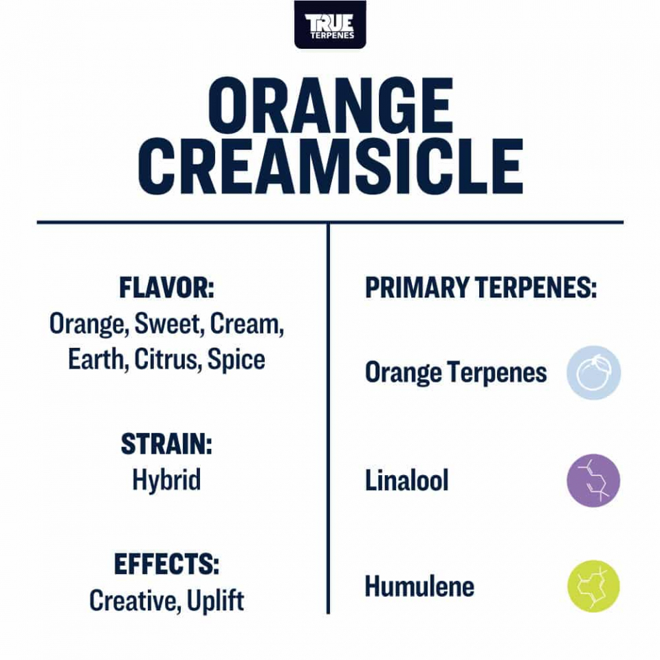 True Terpenes - Orange Creamsicle - Image 2