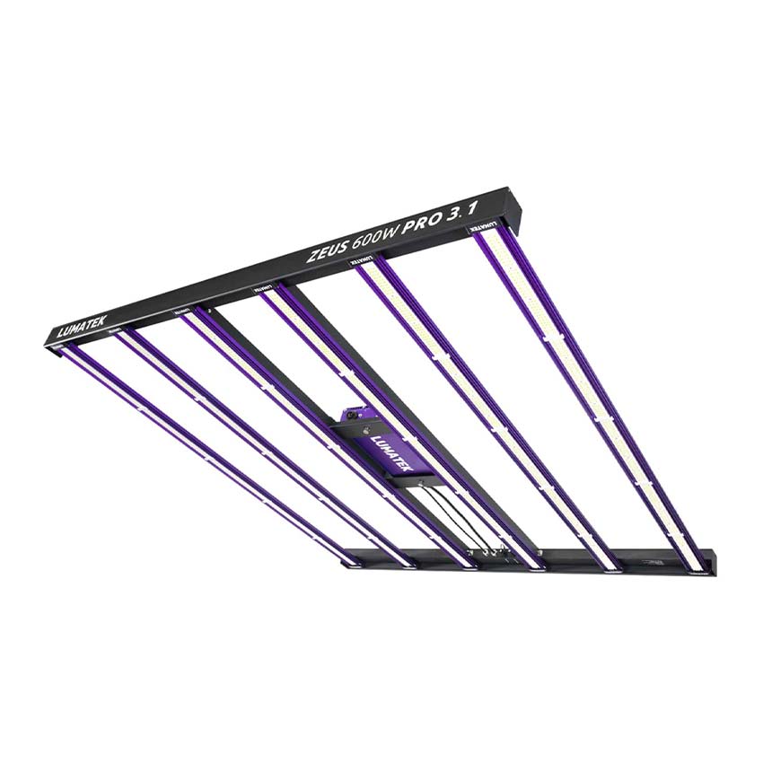 LUMATEK ZEUS 600 WATT PRO 3.1 LED - 6 BARS