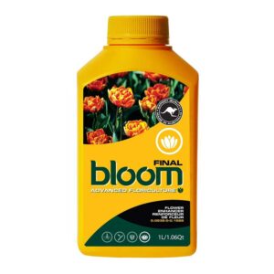 BLOOM FINAL
