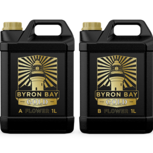 BYRON BAY GOLD FLOWER A+B