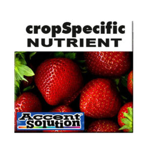 STRAWBERRY MIX 20 KG A & B PACK (NPK 2-1-4)