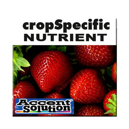 STRAWBERRY MIX 20 KG A & B PACK (NPK 2-1-4)