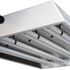 STARLITE T-55 (WHITE BOX) 4 X 55 WATT LIGHT WITH SERIES PORT