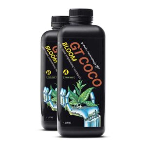 GT COCO BLOOM A & B