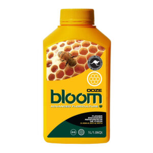 BLOOM OOZE