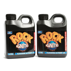 ROCK IGNITE BLOOM A + B
