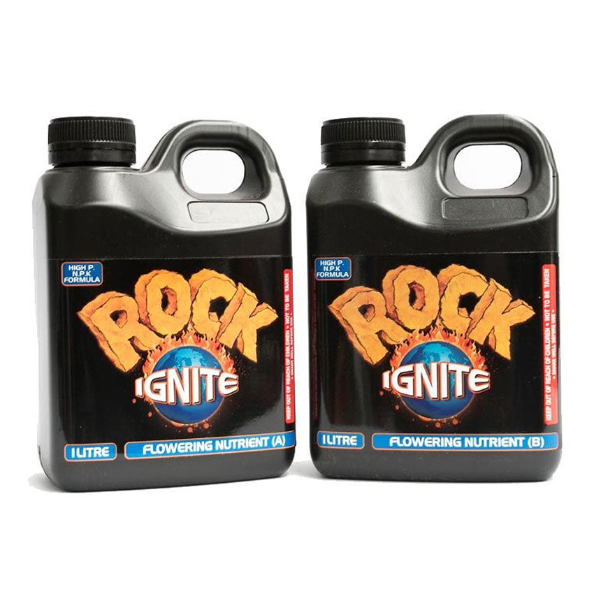 ROCK IGNITE BLOOM A + B