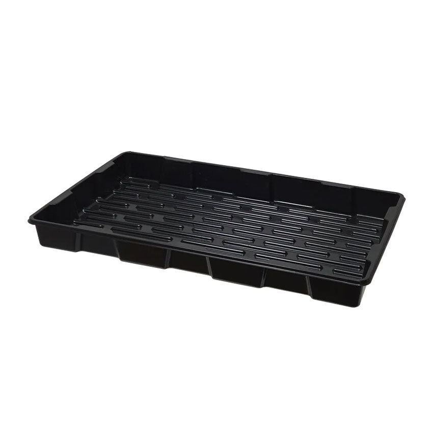 JUMBO PROPAGATOR CLONE TRAY 550 X 360 X 50MM (SUITS CT-77)