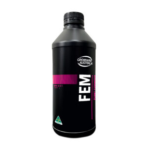 FEM