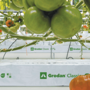 Grodan Classic Wrapped Slab 300 x 900 x 75 mm 8 Pack