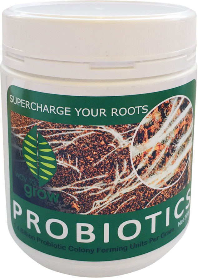 Way To Grow Probiotics 300 g